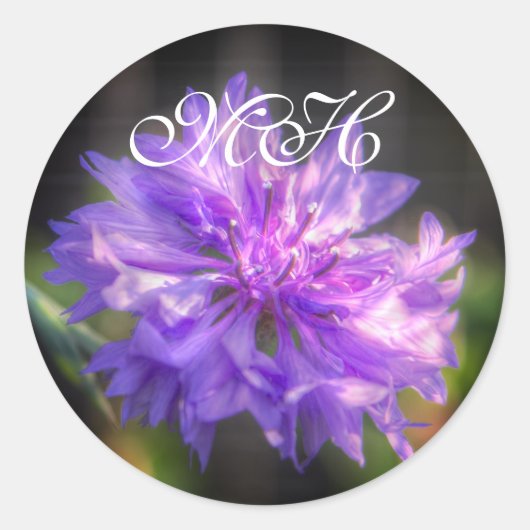 Bachelors Button Cornflower Ronde Sticker (Voorkant)