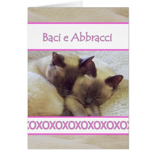 Baci e Abbracci, Hugs et baisers en italien (Devant)