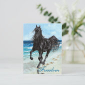 Back Stallion Arabe cheval Liberté carte postale (Debout devant)