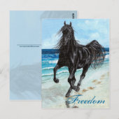 Back Stallion Arabe cheval Liberté carte postale (Devant / Derrière)