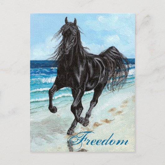 Back Stallion Arabe cheval Liberté carte postale (Devant)