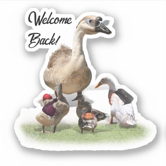 Back To School Ducks Sticker (Voorkant)