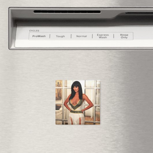 Back to That Special Place magnet (In Situ (Lave-vaisselle))