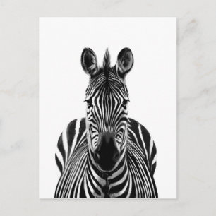 Back-upplan III Briefkaart