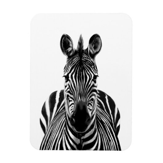 Back-upplan III Magneet (Verticaal)