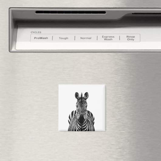 Back-upplan III Magneet (Insitu (Vaatwasser))