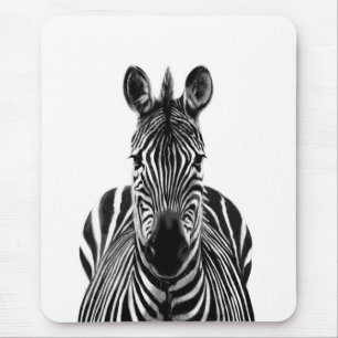 Back-upplan III Muismat