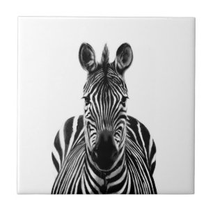 Back-upplan III Tegeltje