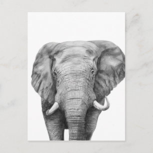Back-upplan IV Briefkaart
