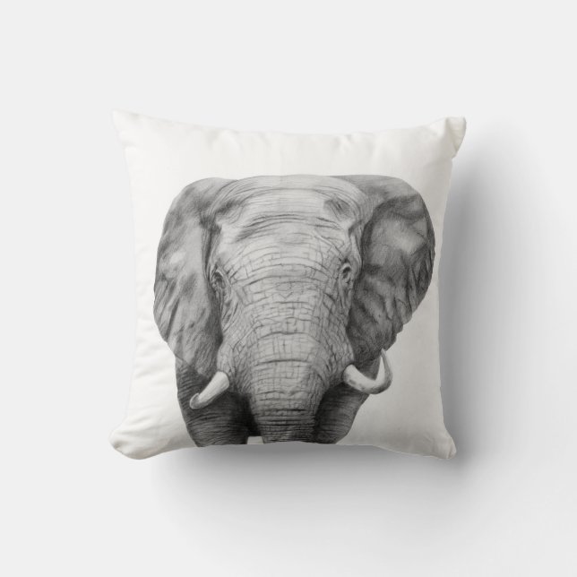 Back-upplan IV Kussen (Voorkant)