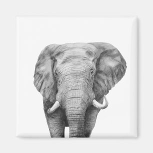 Back-upplan IV Magneet