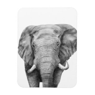 Back-upplan IV Magneet