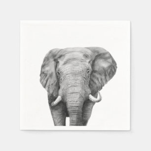 Back-upplan IV Servet