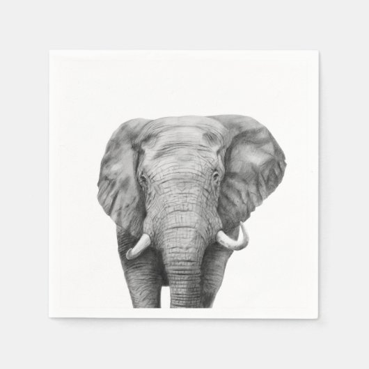 Back-upplan IV Servet (Voorkant)