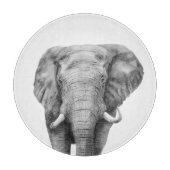 Back-upplan IV Snijplank (Voorkant)