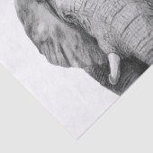 Back-upplan IV Tissuepapier (Detail)