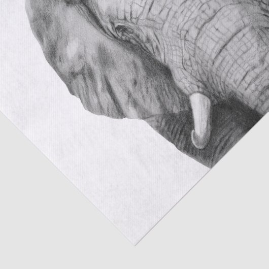 Back-upplan IV Tissuepapier (Detail)