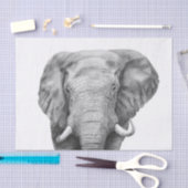 Back-upplan IV Tissuepapier (Craft)