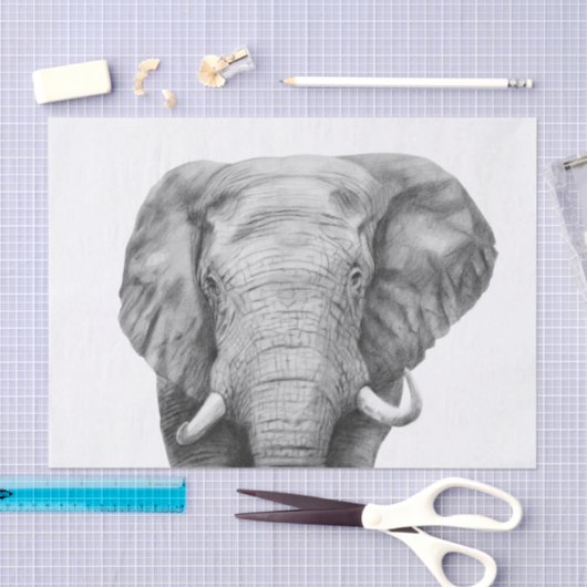 Back-upplan IV Tissuepapier (Craft)