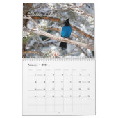 Back Yard Birds Calendar Kalender (Feb 2026)