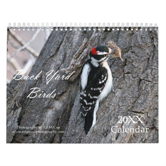 Back Yard Birds Calendar Kalender (Hoes)
