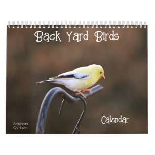 Back Yard Birds Calendar Kalender