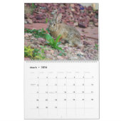 Back Yard Bunnies 2019 fotokalender Kalender (Mar 2026)