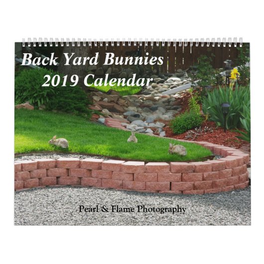 Back Yard Bunnies 2019 fotokalender Kalender (Hoes)