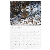 Back Yard Bunnies 2019 fotokalender Kalender (Jan 2026)