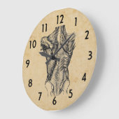 -backanatomie grote klok (Hoek)