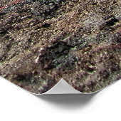 BACKHOE-ZWEEKAPPARATUUR POSTER (Hoek)