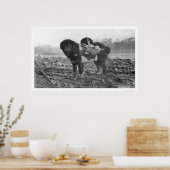 Backpackaging Dog Seward, Alaska 1911 Poster (Keuken)