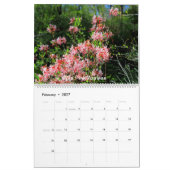 Backwood Photos Calendar Kalender (Feb 2027)