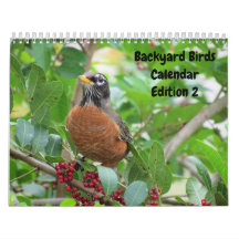 Backyard Birds Calendar - Uitgave 2