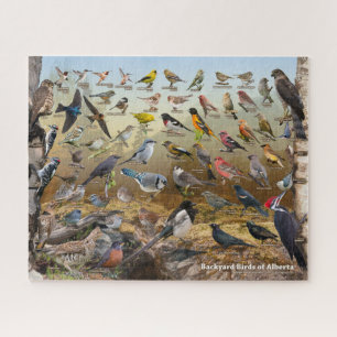 Backyard Birds of Alberta Puzzle Legpuzzel