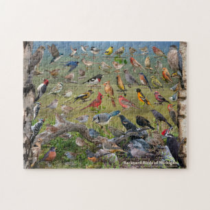 Backyard Birds of Michigan  Puzzle
