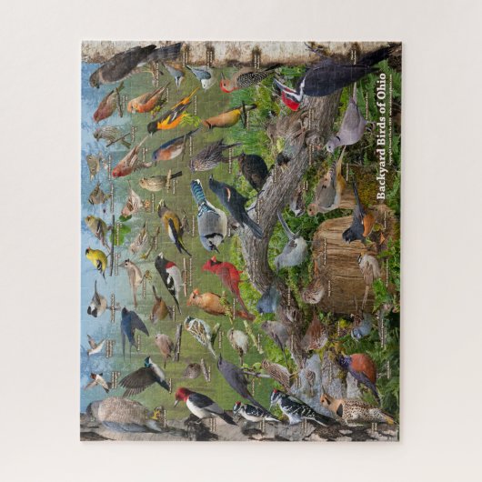 Backyard Birds of Ohio Puzzle (Vertical)