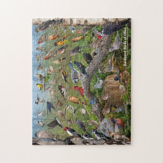 Backyard Birds of Ohio Puzzle (Vertical)
