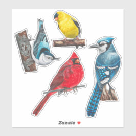 Backyard Birds Stickers Value Pack