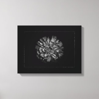 Backyard Flowers In Black & White No 79 Border Canvas Afdruk