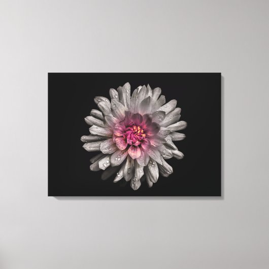 Backyard Flowers No. 91 Color Version Canvas Afdruk (Voorkant)