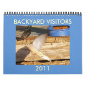 BACKYARD VISITORS KALENDER (Hoes)