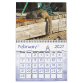 BACKYARD VISITORS KALENDER (Feb 2027)