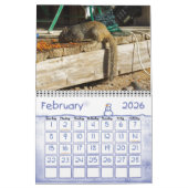 BACKYARD VISITORS KALENDER (Feb 2026)