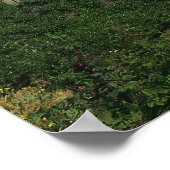 Backyard Volcano Poster (Hoek)