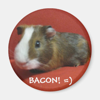 Bacon, BACON! =) Magneet