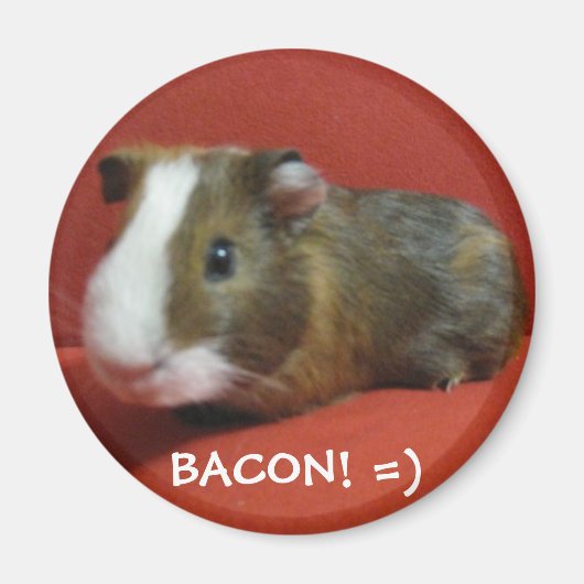 Bacon, BACON! =) Magneet (Voorkant)