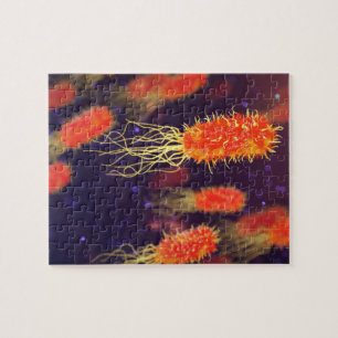 Bacteria Flagella Legpuzzel