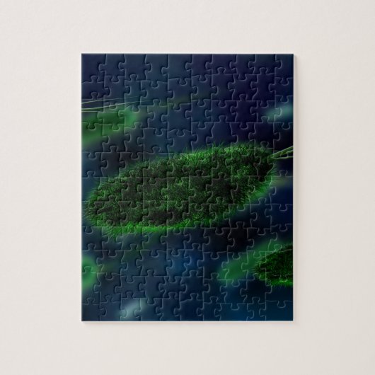 Bacteria Microbes Legpuzzel (Verticaal)