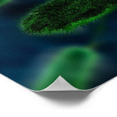 Bacteria Microbes Poster (Hoek)